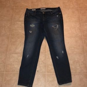 Torrid Denim collection skinny jeans